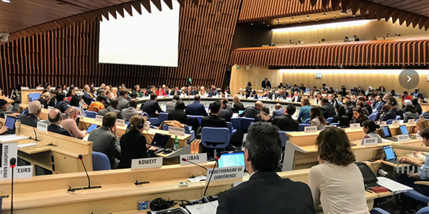 Packed WHO Executive Board meeting sets next steps on NCDs, looks ahead